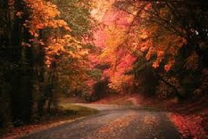 tantra_otoño_namaste